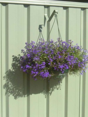 Colorbond  Fence Hanging Basket Hangup